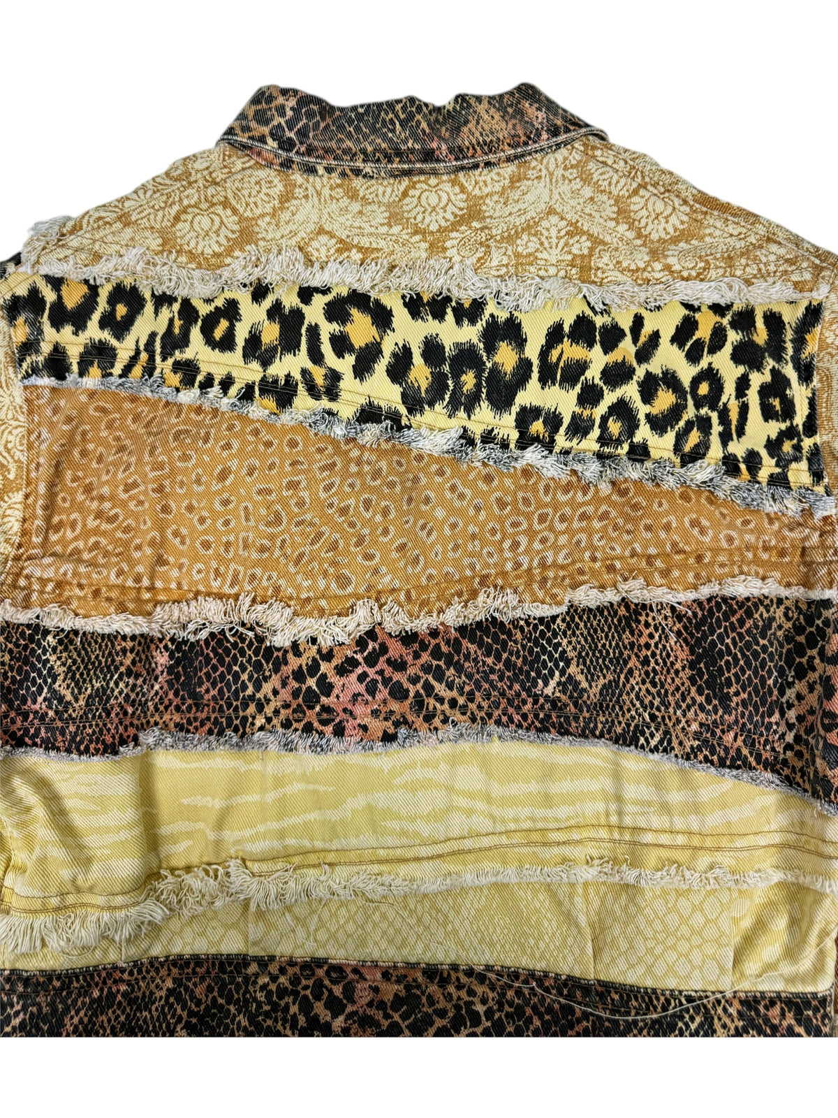 Archive Roberto Cavalli Leo Jacke