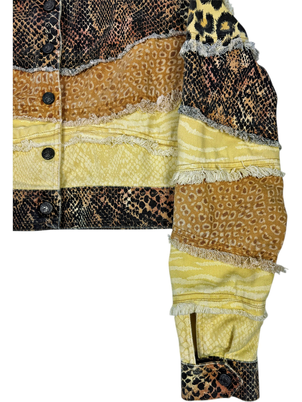 Archive Roberto Cavalli Leo Jacke