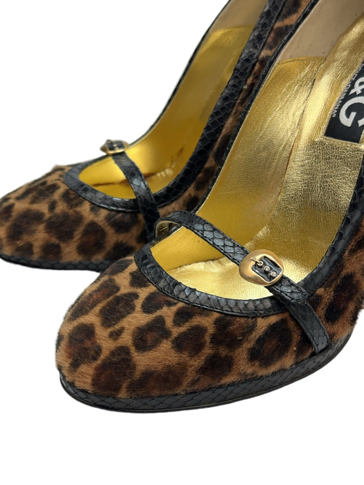 Dolce & Gabbana Leo Heels